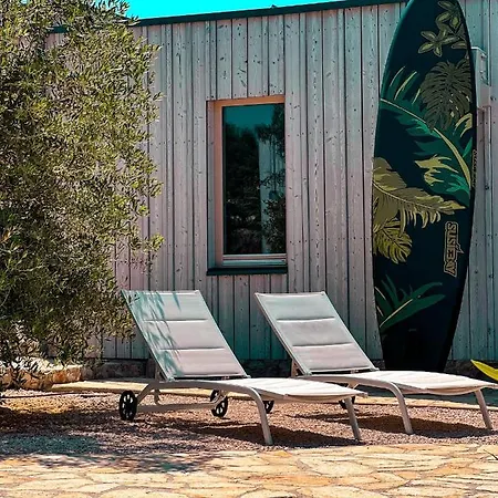 Modern - Buqez Camp